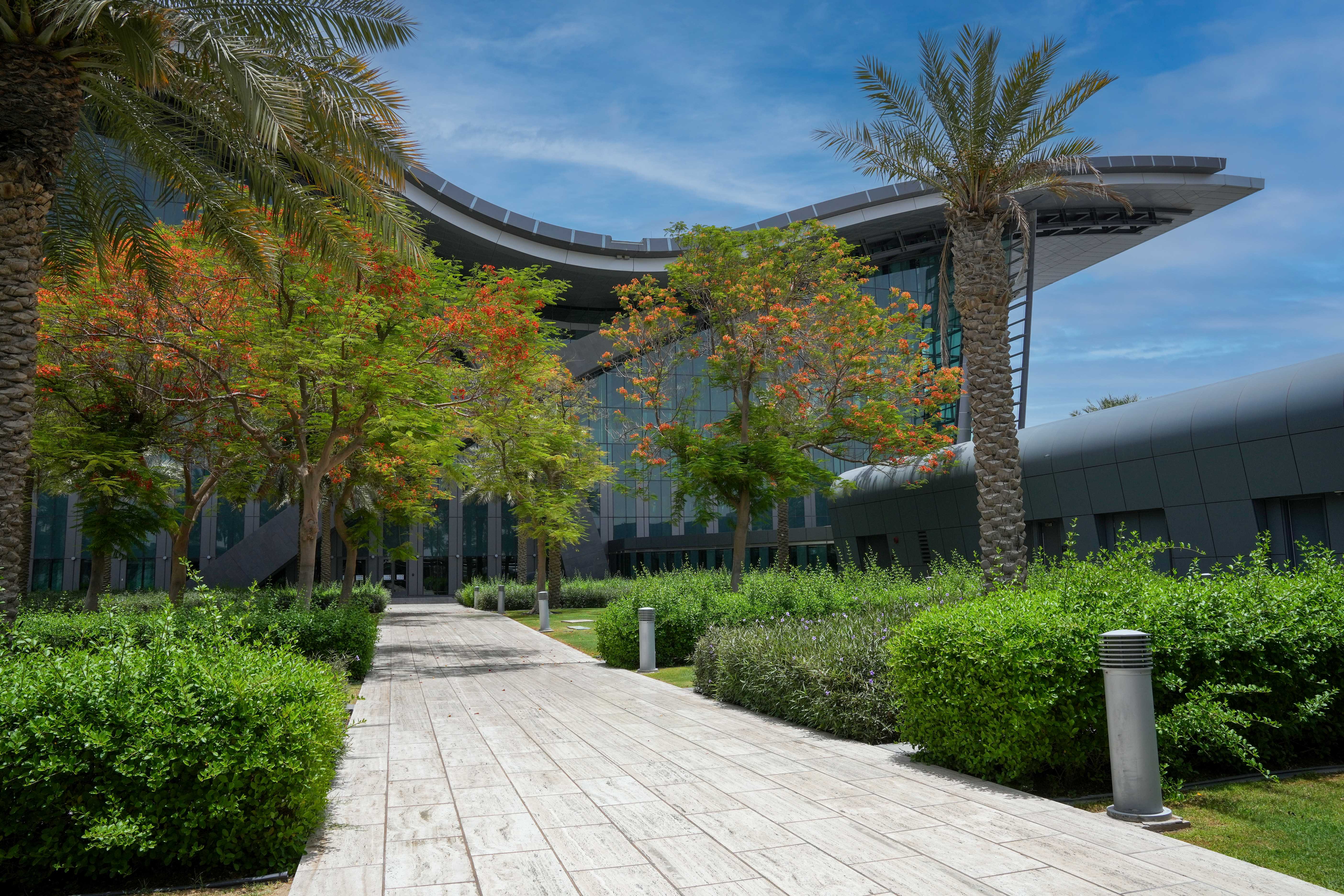 World Environment Day