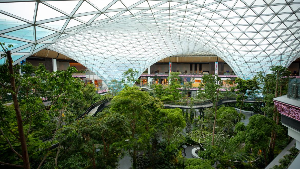 Hamad International Airport Celebrates a Decade of Operational Excellence